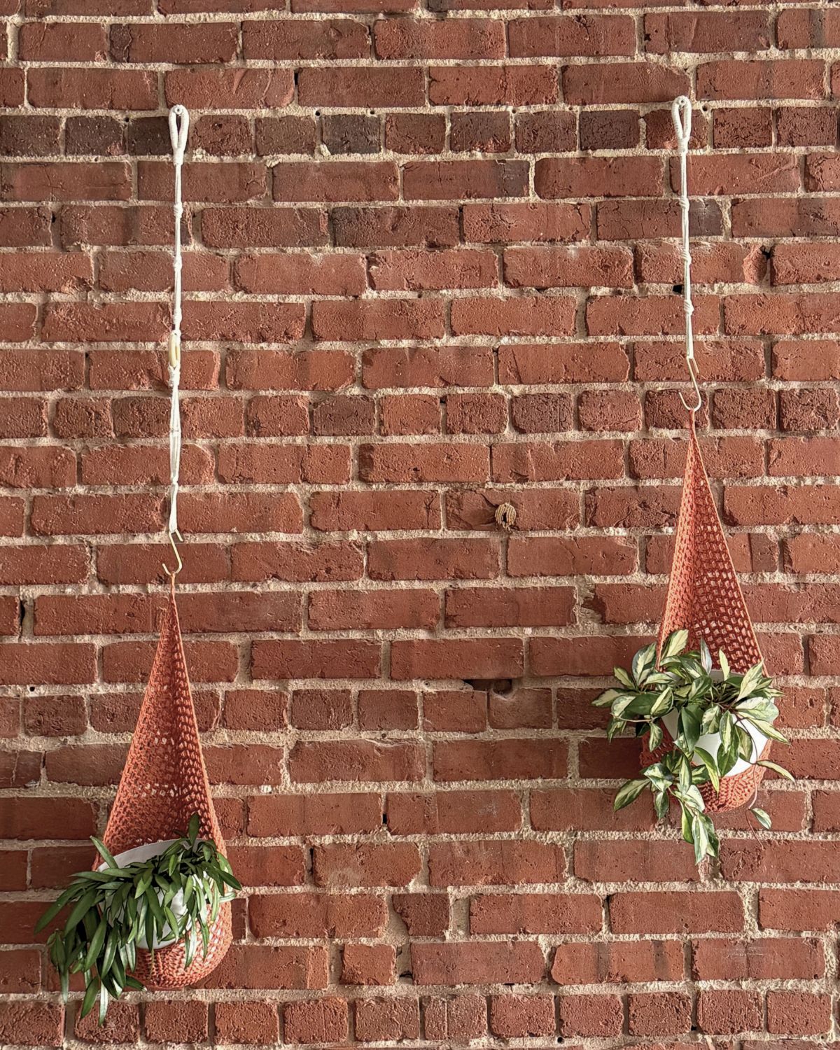 Hanging plants against an exposed brick wall