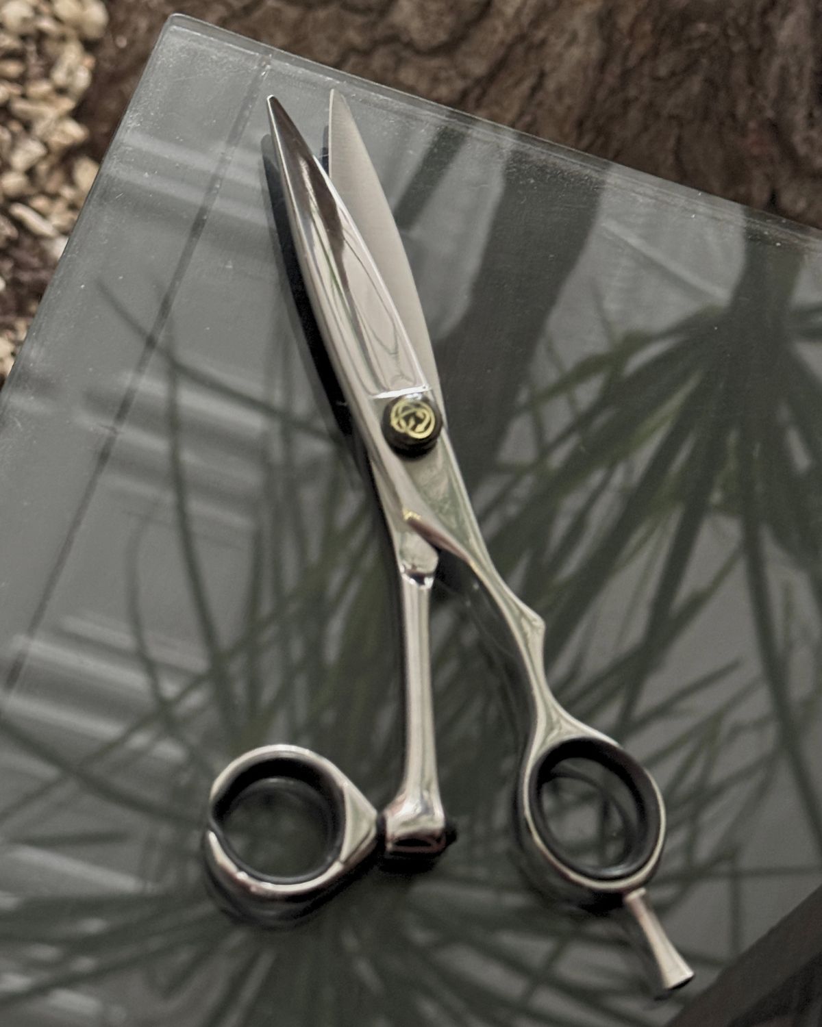 Hair shears resting on a glass surface with reflected plant shadows