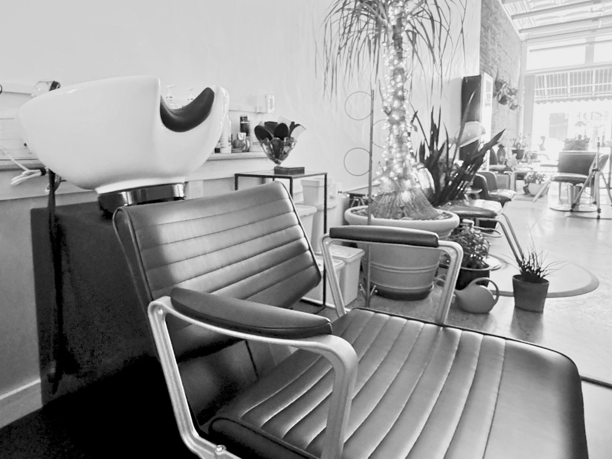 Salon interior at Deluxe on Depot